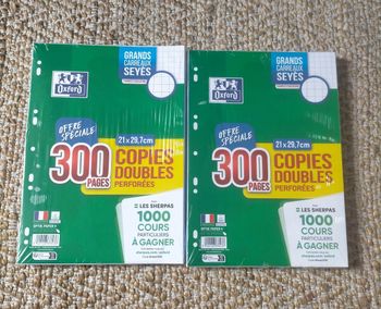 Lot copies doubles perforées Oxford