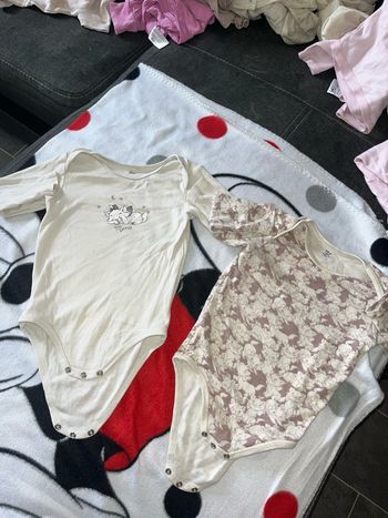 Lot de 2 bodies