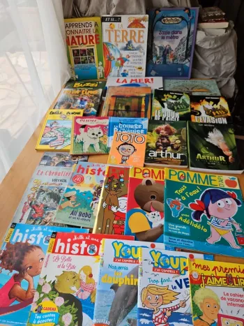 Lot 16 livres + 11 magazines