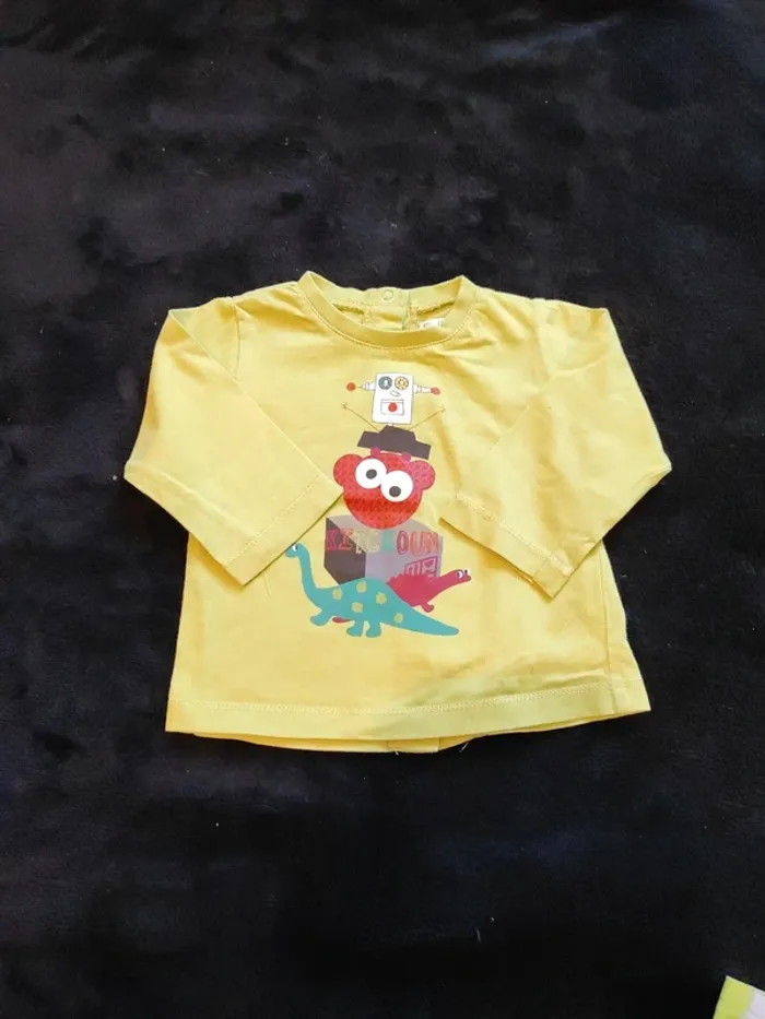 Lot 11 t-shirt manches longues 6 mois - photo numéro 4