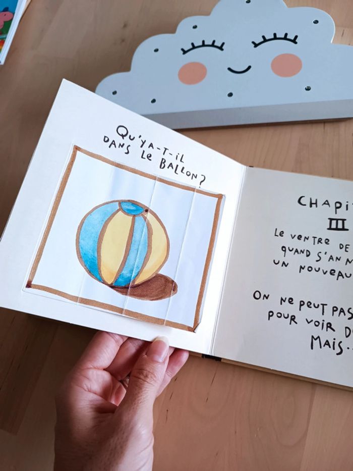 Livre enfant : Et dedans il y a, Jeanne Ashbé - photo numéro 5