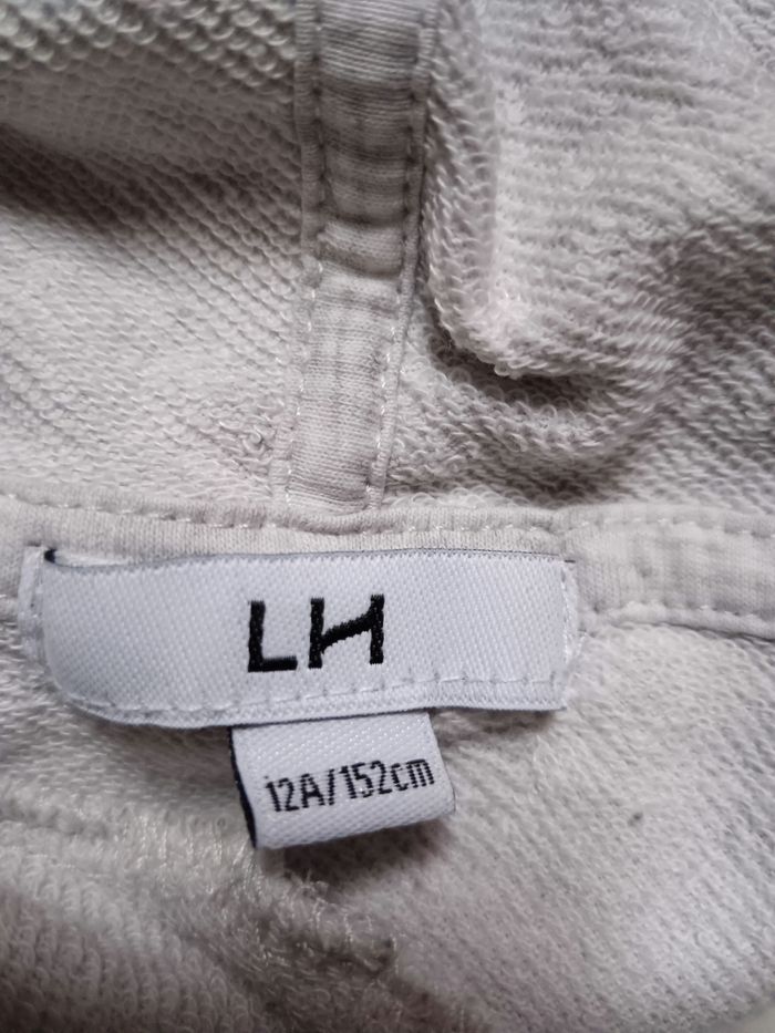 Sweat gris clair 12 ans - photo numéro 3