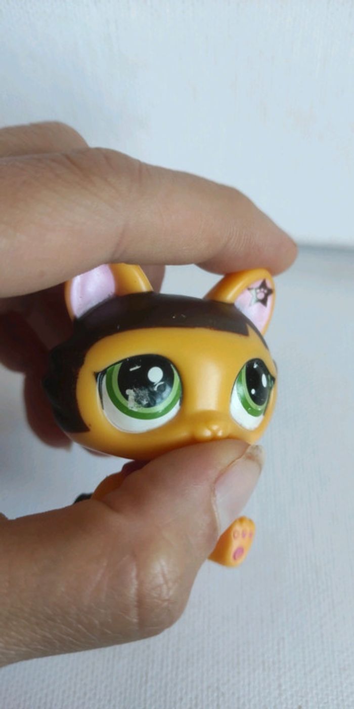 My littlest petshop chat sphynx mécanique 2718 - photo numéro 6