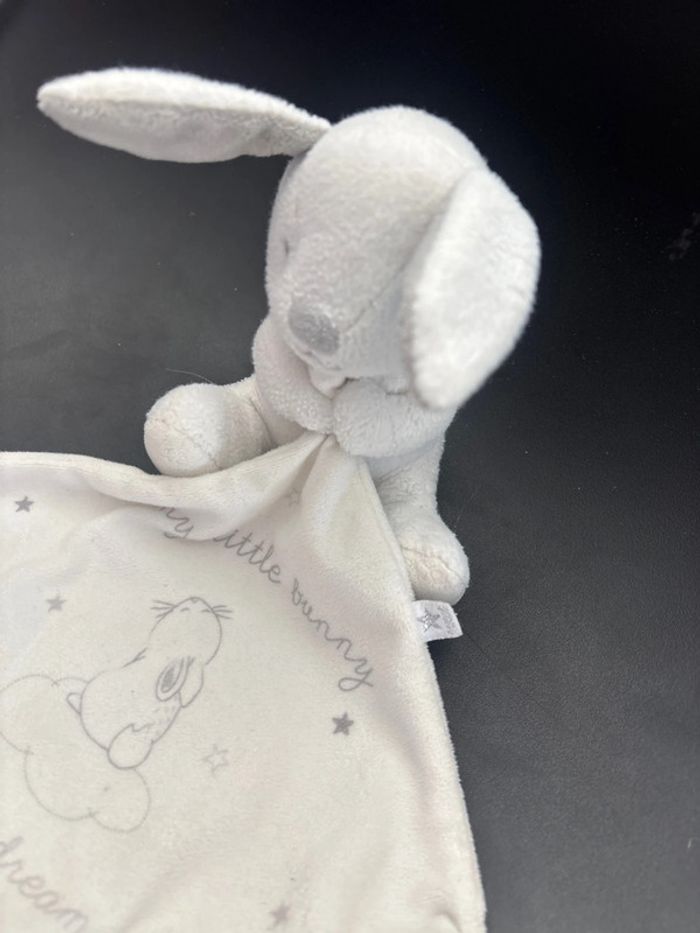 Doudou lapin - photo numéro 2