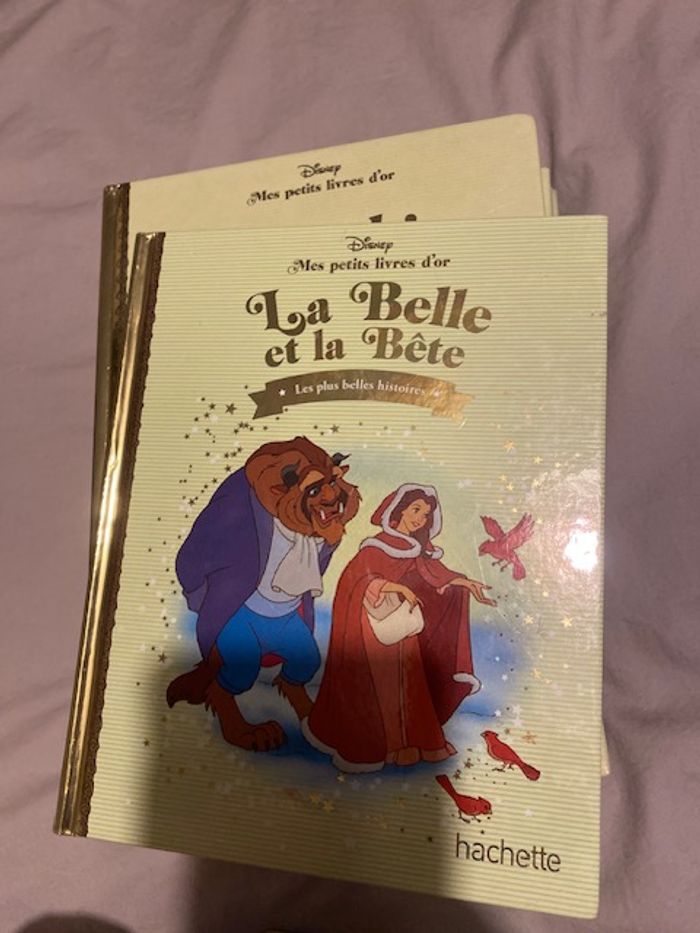 Livres de Disney Collection Mes petits livres d'or - photo numéro 6