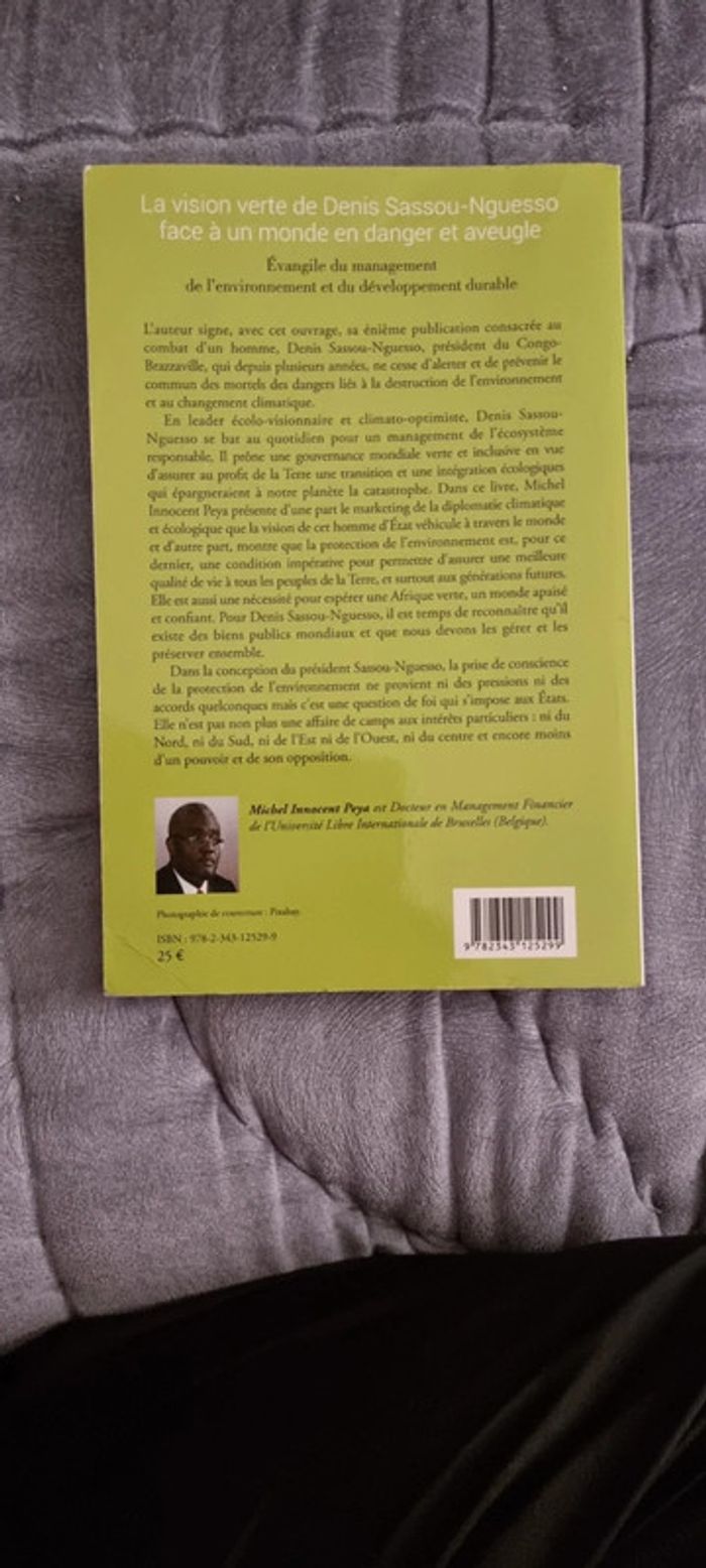 Livre Vision Verte de Denis Sassou N'Guesso a debattre - photo numéro 2