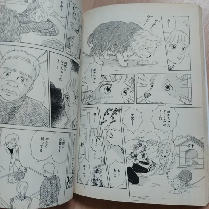 Manga Ashita wa Happy dog - photo numéro 3