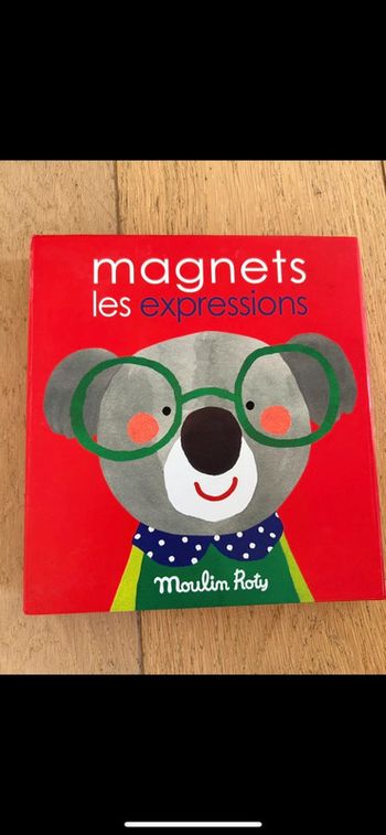 Jeu magnétique moulin Roty expressions
