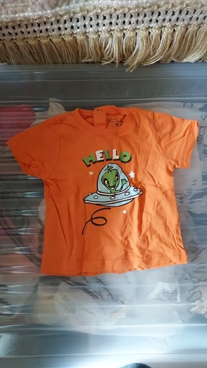 Tee-shirt garçon 9m