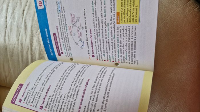(369) articles disponibles Fiches Bac NSI - photo numéro 3