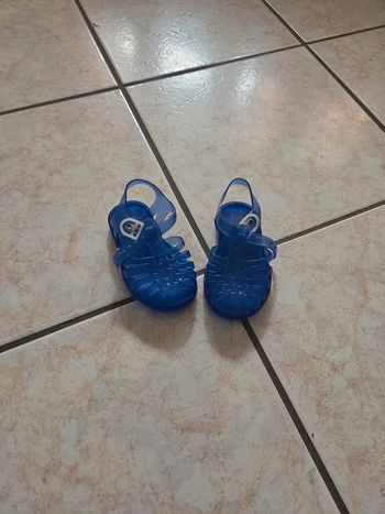 Méduse bleu