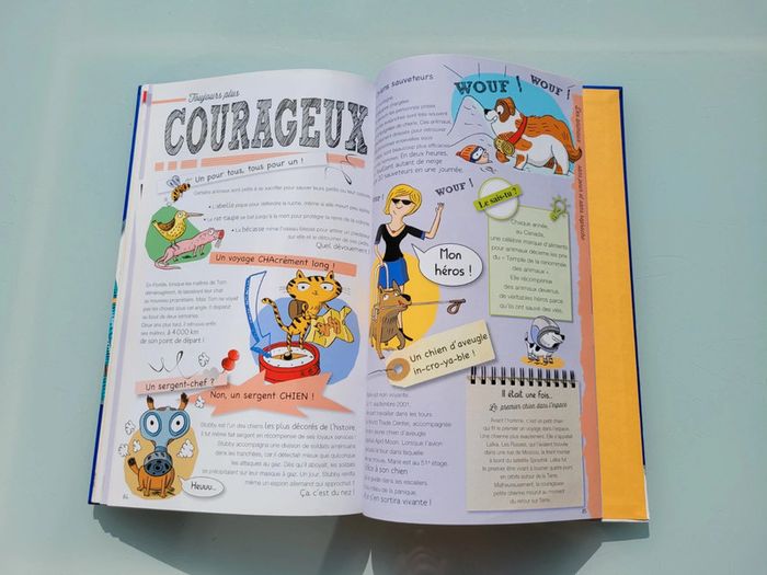 Grand livre Le Larousse des Records, couverture mousse - photo numéro 12