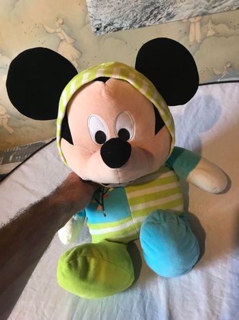 Gros Mickey Mouse Pyjama Capuche Rayures Branche Feuilles Multicolores Peluche Petits Enfants Bébés