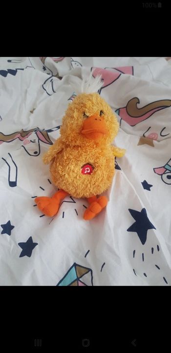 Petit canard musical