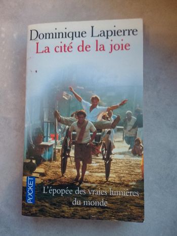 La cité de la joie