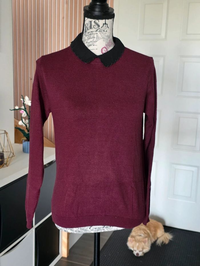 Pull fin col claudine