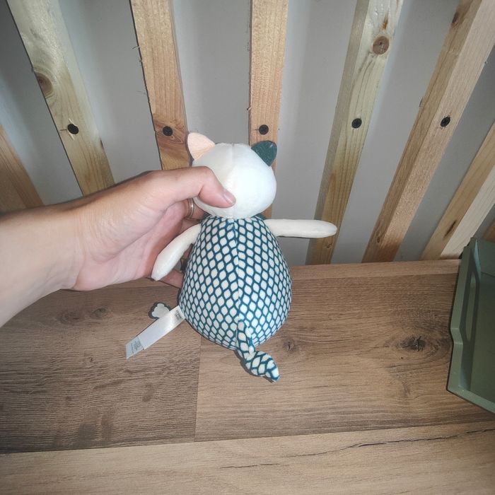 Chat culbuto kaloo - photo numéro 2