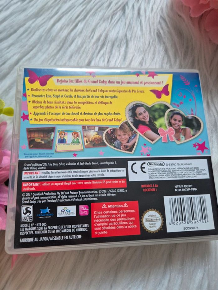 Jeux Nintendo ds Grand galop - photo numéro 2