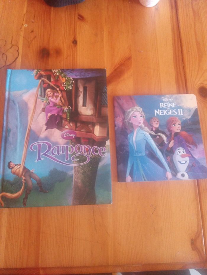 Lot livres princesses Disney