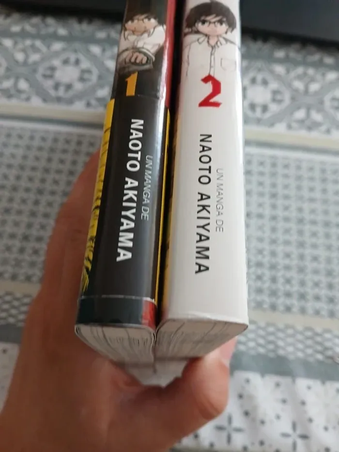 Manga intégral- From the Children’s Country tome 1 et 2 - photo numéro 4