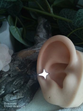 Clip oreille étoile en acier argenté