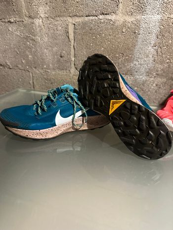 Nike Pegasus Trail 3