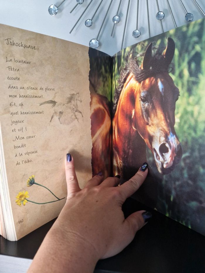 Livre les chevaux du soleil - photo numéro 6