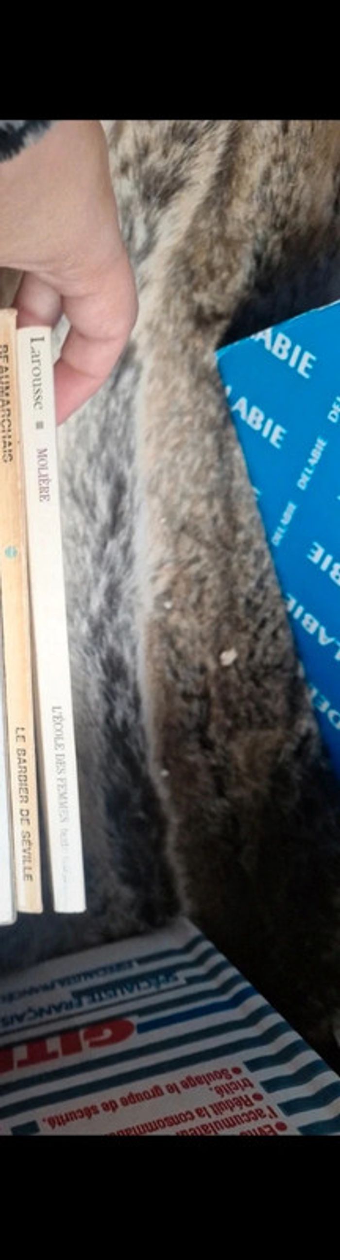 Lot de 2 grand classiques litterature - photo numéro 2