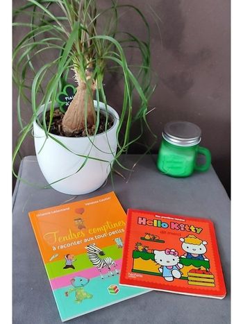 Lot deux petits livres