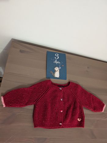 Gilet 3 mois sergent major