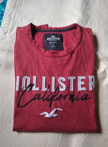 tee shirt hollister ts