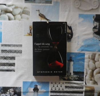 L'appel du sang - La seconde vie de Bree Tanner de Stephenie Meyer