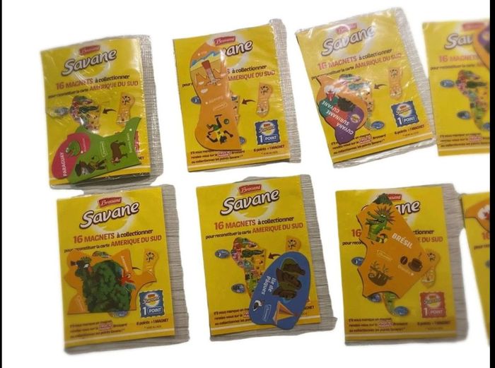 Lot  de  magnet  savane « Amérique  du  sud » - photo numéro 3