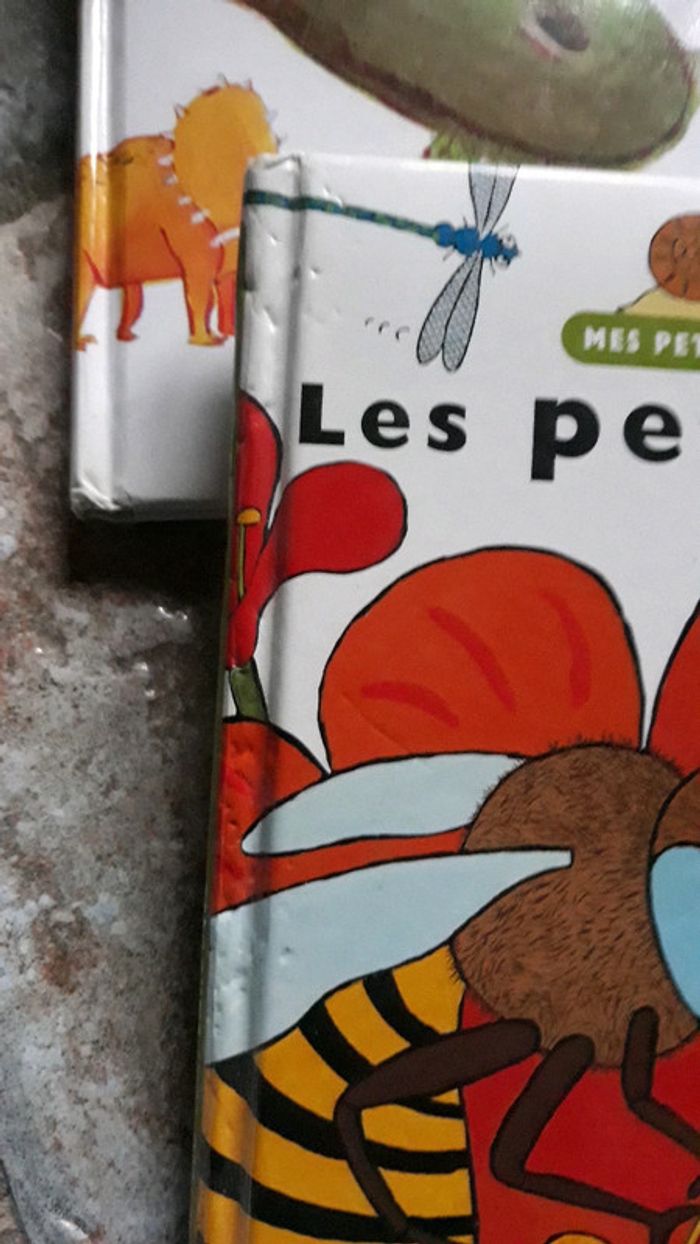 Mes petites encyclopédies junior - photo numéro 2