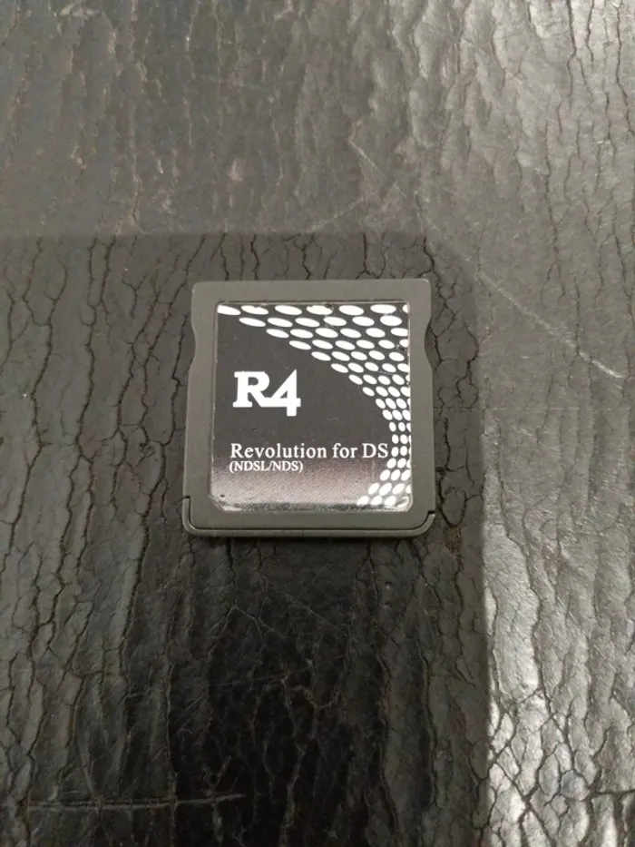 R4 pour Nintendo DS - photo numéro 2
