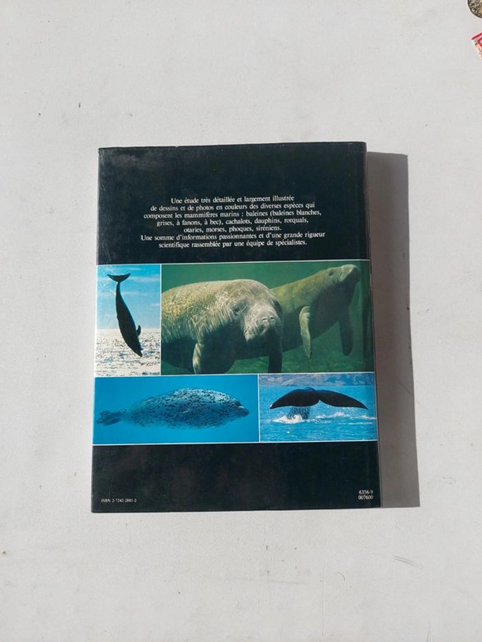 Les mammifères marins - photo numéro 2