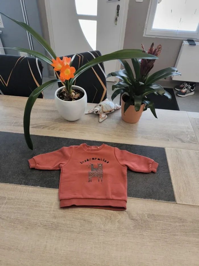 Sweat molletonné garçon 6 mois Tao