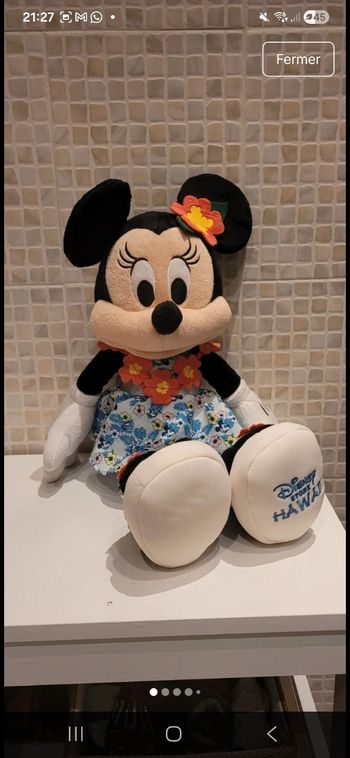 Minnie hawai disney