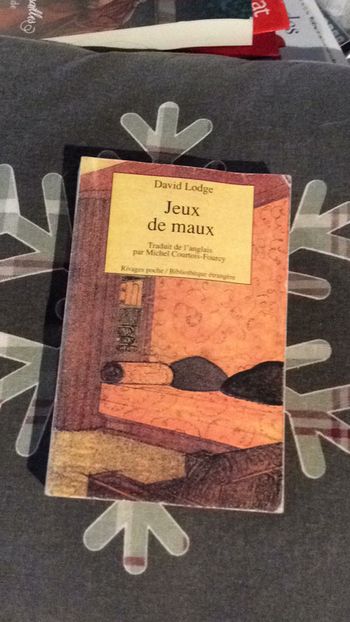 #jeux de maux par David Lodge