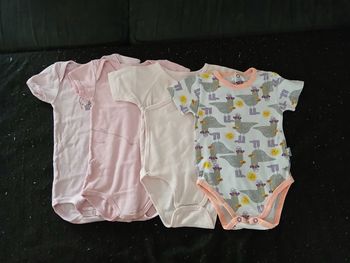 Lot de 4 bodies été 18 mois fille