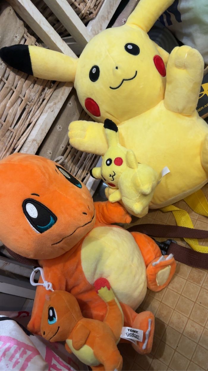 Pokémon sac