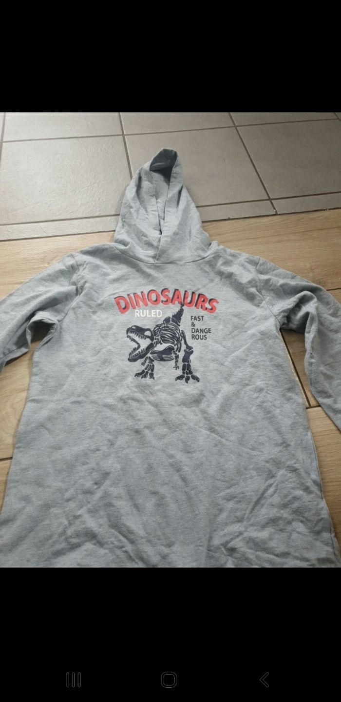 T-shirt épais dinosaure 12/14 ans - photo numéro 2