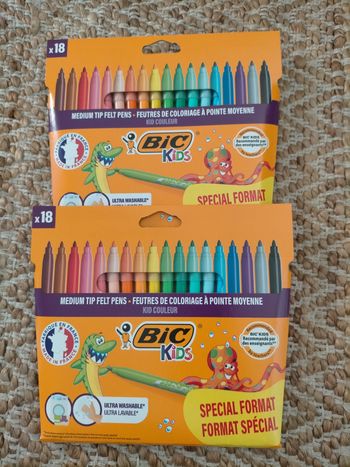 Lot Feutres de coloriage bic