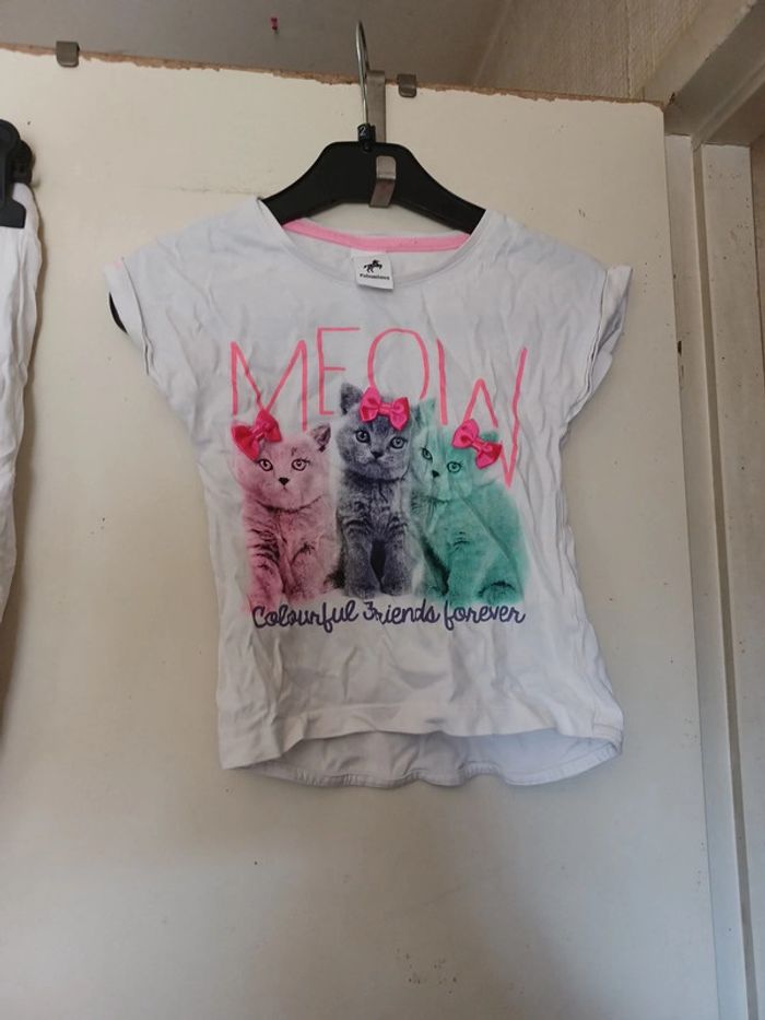 Tee shirt manche courte chat palomino 5 ans