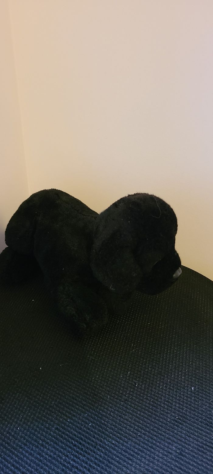 Doudou chien noir couché la pelucherie - photo numéro 5