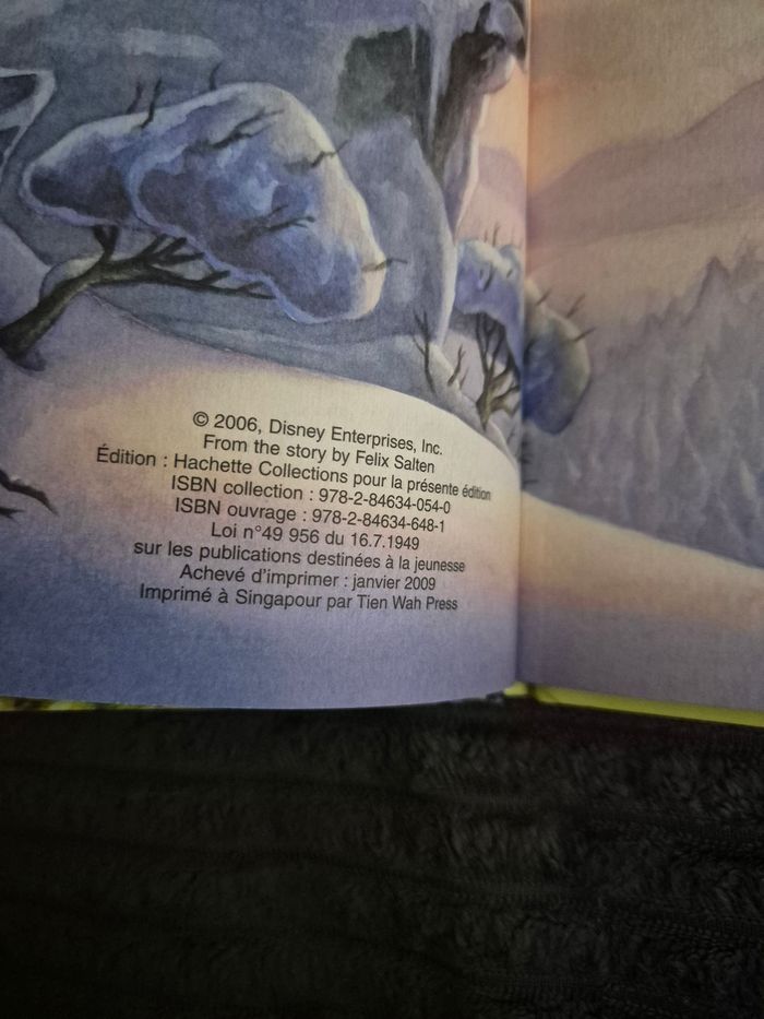 Livre Bambi 2 - photo numéro 3