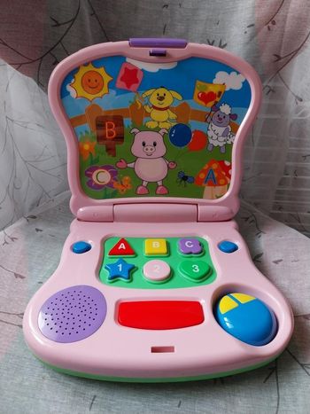 Ordinateur 1 er âge  cochon