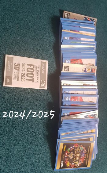 Panini foot 2024/2025