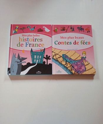 Lot de 2 livres histoires de France et contes de fées
