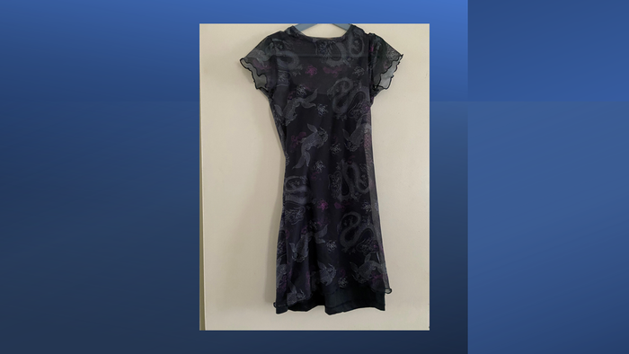 Lot de vêtements Femme 32/XXS - photo numéro 4